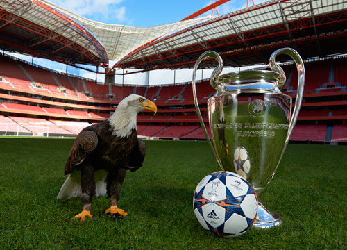 迈克·布朗：有信心提升防守，相信我们可以成为防守出色的球队（迈克·布朗：有信心强化防守，相信球队能成为防守强队）